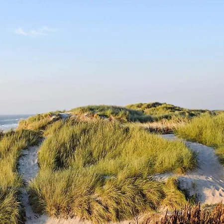 6 Person In Hvide Sande-by Traum *
