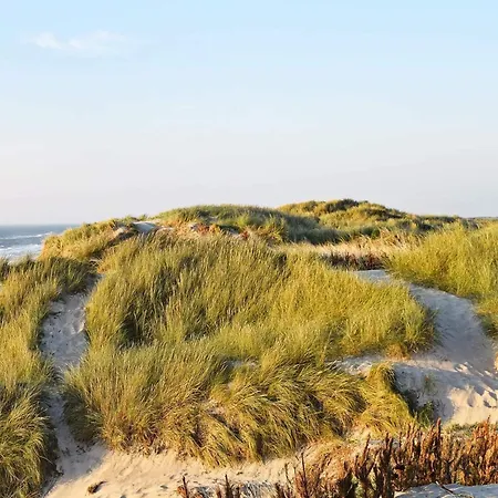 6 Person In Hvide Sande-by Traum Hvide Sande
