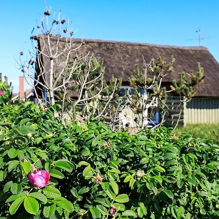 6 Person In Hvide Sande-by Traum Hébergement de vacances